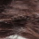 Rust Brown