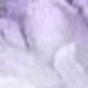 Màu tím