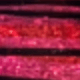 Multicolor A