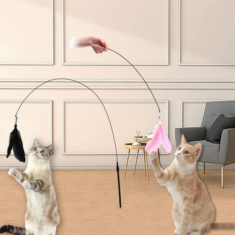 钢丝羽毛逗猫棒玩具,长柄自娱耐咬猫玩具 - 彩色 - 查看 1