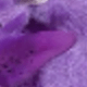 紫色
