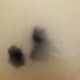 金色