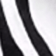 Zebra Print Black and White