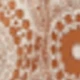 Caramel Color