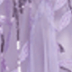 Lilac Purple