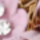 Púrpura malva