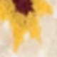1 chiếc màu vàng