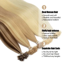 Human Extensions - S60 - View 2