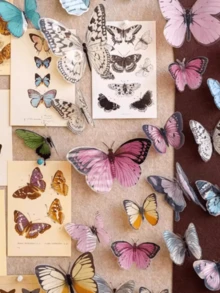 12pcs/1set 3D Realistic Butterfly Wall Stickers, Colorful Butterfly Decals, Children's Room Wall Decor - Multicolor - View 3