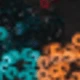 Multicolor