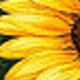1PC