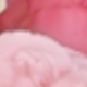 彩色