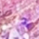 Hồng