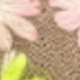 彩色