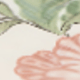 彩色