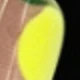 彩色