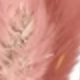 淺紅棕色