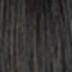 S1B