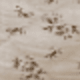 màu nâu