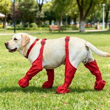 Sepatu Hujan Hewan Peliharaan yang Dapat Diatur, Sepatu Anjing, Desain Gesper, Desain Cakar Lembut yang Bernapas, Ringan dan Mudah Dipakai, Cocok untuk Berjalan, Mendaki dan Karpet, Perlengkapan Hewan Peliharaan Luar Ruangan, Cocok untuk Jalan-jalan Malam, Cocok untuk Hewan Peliharaan - MultiWarna - View 6