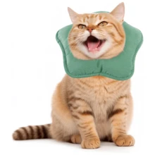 Adjustable Elizabeth Collar For Pets (Cats), Soft Star-Shaped Neck Cone For Post-Surgery Or Injury Recovery, Suitable For Puppies, Small Dogs And Cats - View 11