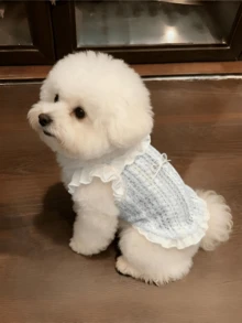 1件宠物镂空花卉蕾丝背心，轻薄透气无袖，适合狗狗、猫咪、泰迪熊、贵宾犬等宠物，夏季薄款复古蕾丝宠物服装 - 淺藍色 - 查看 3