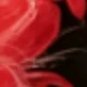 9847 Red
