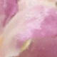 66254 Red Bean Paste