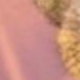 L5-Rosa
