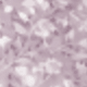 Flores Rosa