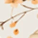 متعدد الألوان