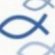 Ichthys Blue