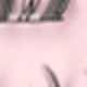 CC