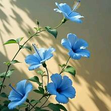 30 piezas/paquete de semillas de hibisco azul - Planta perenne de jardín tropical, flores vibrantes y llamativas, de rápido crecimiento y amigable con los polinizadores| Fácil de Cultivar para Paisajismo Doméstico - 30 unidades/paquete - Ver 11