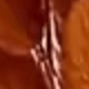 Orange-brown Rabbit Tail Grass