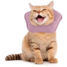 Adjustable Elizabeth Collar For Pets (Cats), Soft Star-Shaped Neck Cone For Post-Surgery Or Injury Recovery, Suitable For Puppies, Small Dogs And Cats - View 9
