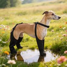 Sepatu Hujan Hewan Peliharaan yang Dapat Diatur, Sepatu Anjing, Desain Gesper, Desain Cakar Lembut yang Bernapas, Ringan dan Mudah Dipakai, Cocok untuk Berjalan, Mendaki dan Karpet, Perlengkapan Hewan Peliharaan Luar Ruangan, Cocok untuk Jalan-jalan Malam, Cocok untuk Hewan Peliharaan - MultiWarna - View 9
