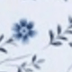 彩色
