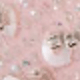 FG1313 - Rosa
