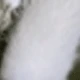 White-green