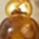 Golden Yellow + Brown