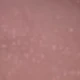 J824 Lunar Mist