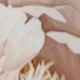 彩色