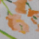 彩色