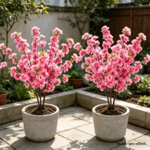 Two High-End Artificial Cherry Blossoms, Long Dense Branches And Leaves, Solid Structure, Home And Outdoor Simulated Green Plants|Suitable For Indoor/Outdoor Decorations, Courtyards, Porches, Gardens, Lawns, Swimming Pools, Weddings, Shopping Malls - Pink - View 5