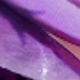 紫色