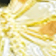 Con bướm vàng