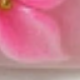 彩色