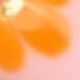 彩色