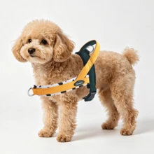DINGKE 牛奶印花小中型犬胸背帶，芥末黃與綠色拼接寵物背心，柔軟加厚墊，防逃脫防碰撞可調節狗散步裝備，適合活潑幼犬 - 黑與白 - 查看 2
